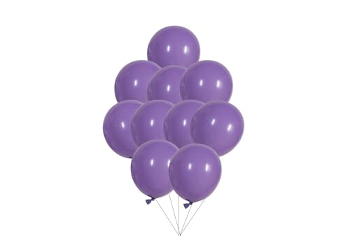 12 inches (30 cm) Thickened Retro Balloons - 50 pieces Natural Latex Balloons - 3.2g/piece (Taro Purple) von Latex Bros