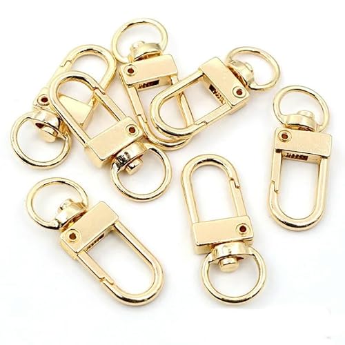 Lationday Karabinerverschlüsse, 13 x 33 mm, Federschnalle, Schlüsselanhänger-Verbinder für DIY-Schmuckherstellung, Armband, Halskette, 10 Stück von Lationday