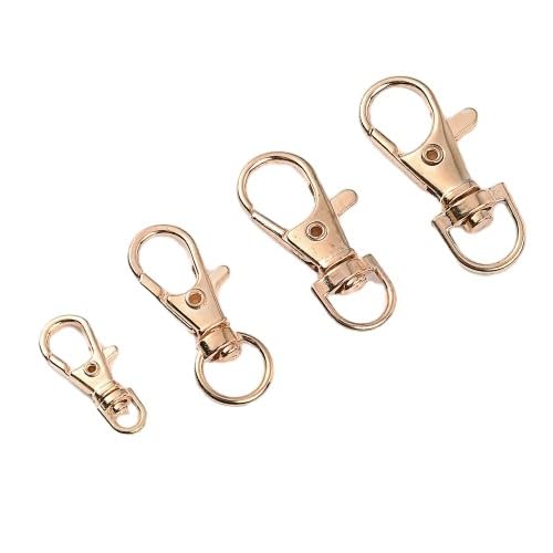 Lationday Karabinerverschlüsse, drehbar, für Schmuckherstellung, Basteln, Karabiner, Schlüsselringe, 2,3 cm, 10 Stück Lationday Karabinerverschlüsse, drehbar, für Schmuckherstellung, Basteln, Karabiner, Schlüsselringe, 2,3 cm, 10 Stück von Lationday