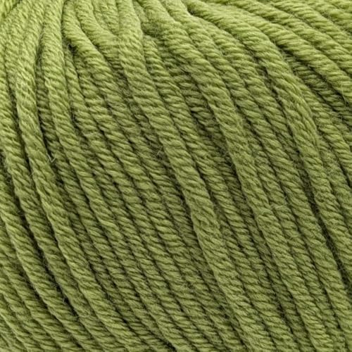 Aran-Weight 100% Superwash feine Merinowolle Strick- & Häkelgarn Mulesing-frei, 50g - Purely Merino Aran 3671 Spring Green Aran-Weight 100% Superwash feine Merinowolle Strick- & Häkelgarn Mulesing-frei, 50g - Purely Merino Aran 3671 Spring Green von Laughing Hens