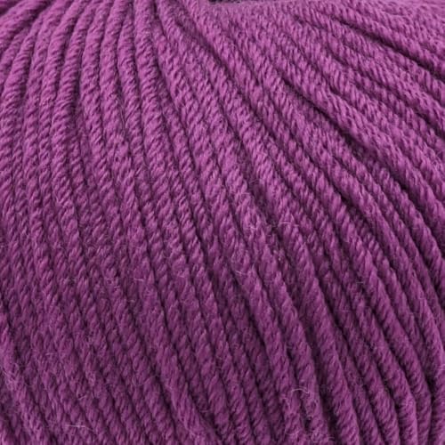 Doppelstrickgewicht (DK), 100 % Superwash feine Merinowolle, Strick- und Häkelgarn, reine Merinowolle, DK 3324 Purple Grape von Laughing Hens