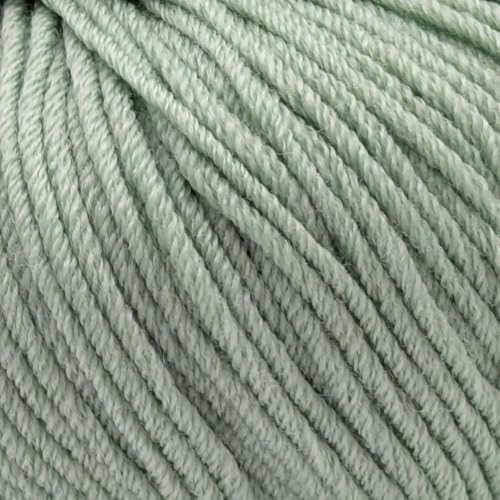 Doppelstrickgewicht (DK), 100 % Superwash feine Merinowolle, Strick- und Häkelgarn, reine Merinowolle, DK 3325 Fichte von Laughing Hens