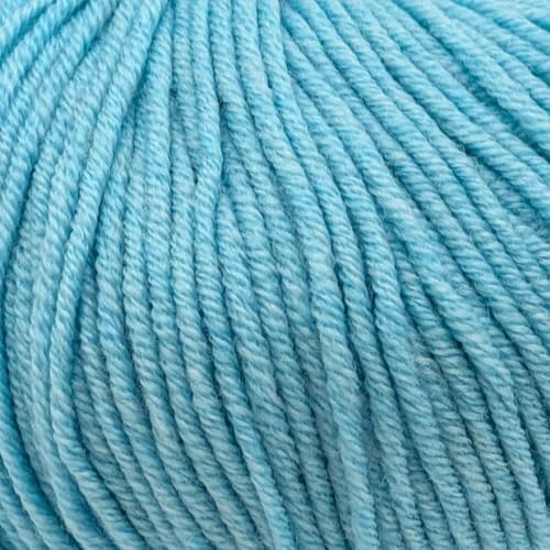 Doppelstrickgewicht (DK), 100 % Superwash feine Merinowolle, Strick- und Häkelgarn, reine Merinowolle, DK 3329, Türkis von Laughing Hens