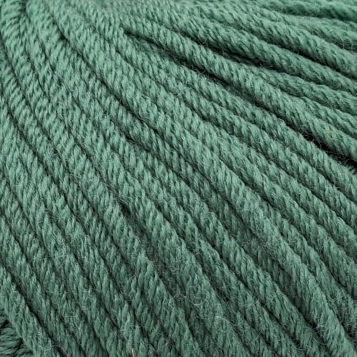 Kammgarn / Aran-Weight 100% Superwash feine Merinowolle Strick- und Häkelgarn, mulesingfrei, 50 g - Purely Merino Aran 3673 Smaragd Kammgarn / Aran-Weight 100% Superwash feine Merinowolle Strick- und Häkelgarn, mulesingfrei, 50 g - Purely Merino Aran 3673 Smaragd von Laughing Hens