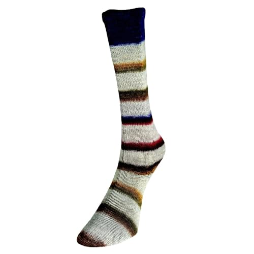 Super Sock 05 Heath Superwash 4-lagiges Sockengarn, Wolle und Nylon, mehrfarbig, Wolle und Nylon, 100 g Super Sock 05 Heath Superwash 4-lagiges Sockengarn, Wolle und Nylon, mehrfarbig, Wolle und Nylon, 100 g von Laughing Hens