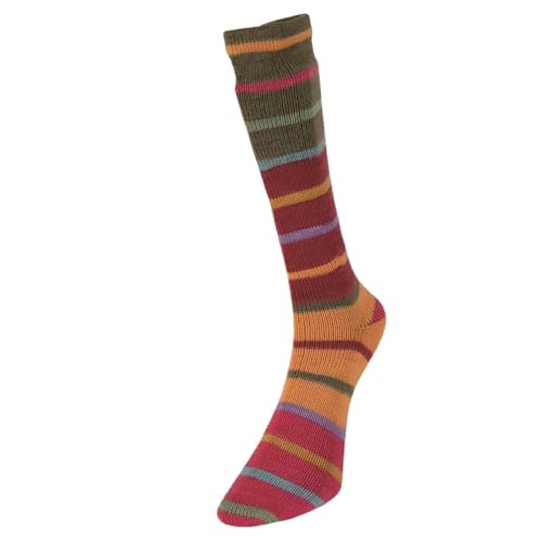 Super Sock 11 Aragon Superwash 4-lagiges Sockengarn, Wolle und Nylon, mehrfarbig, Wolle und Nylon, 100 g von Laughing Hens