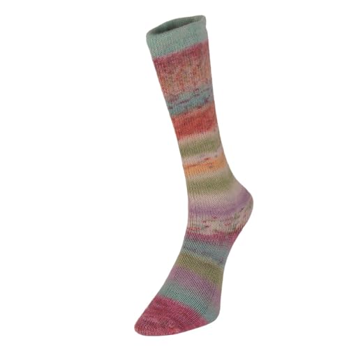 Super Sock 17 Rodeo Superwash 4-lagiges Sockengarn, Wolle und Nylon, mehrfarbig, Wolle und Nylon, 100 g von Laughing Hens