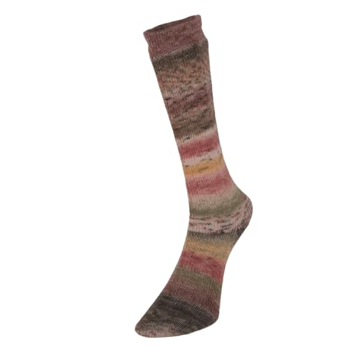 Super Sock 21 Celebration Superwash 4-lagiges Sockengarn, Wolle und Nylon, mehrfarbig, Wolle und Nylon, 100 g von Laughing Hens