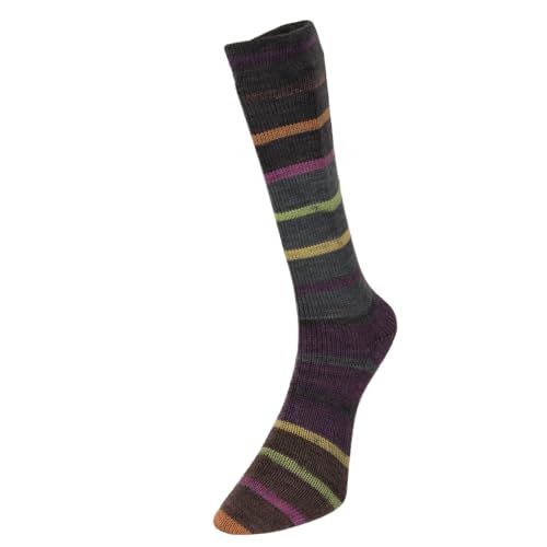 Super Sock Superwash 4-lagiges Sockengarn, Wolle und Nylon, mehrfarbig, Wolle und Nylon, 100 g, 16 Parr von Laughing Hens