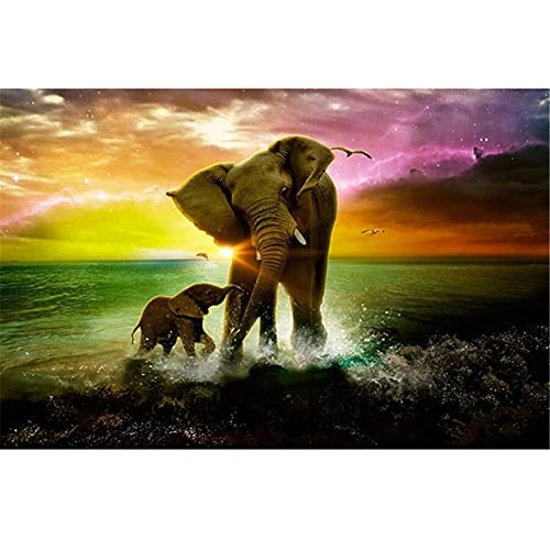 Lausra 5D Diamant Malerei Set Elefant Vollbohrer DIY Diamond Painting Kit (50x70cm) von Homry