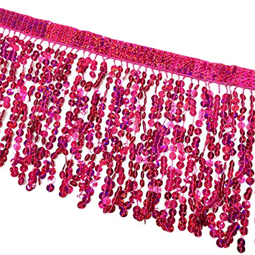 Lauthen.S 9,8 Meter Pailletten-Fransenborte, 15,2 cm Pailletten-Quasten, Nähborte für Bastelarbeiten, Latein-Kleidung, Verzierung, Hot Pink Lauthen.S 9,8 Meter Pailletten-Fransenborte, 15,2 cm Pailletten-Quasten, Nähborte für Bastelarbeiten, Latein-Kleidung, Verzierung, Hot Pink von Lauthen.S