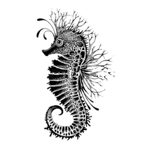 Lavinia Stamps, Clear Stamp - Sebastian The Seahorse Lavinia Stamps, Clear Stamp - Sebastian The Seahorse von Lavinia Stamps