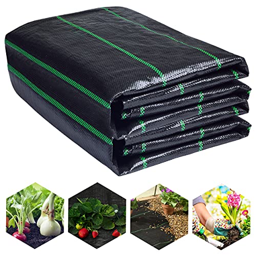 LawnScape 2M x 20M Unkrautvlies 105GSM Heavy Duty Unkrautvlies Unkrautvlies für alle Unkrautarten im Garten, Hochbeet, Gewächshaus, Kindergarten und Gehwegen LawnScape 2M x 20M Unkrautvlies 105GSM Heavy Duty Unkrautvlies Unkrautvlies für alle Unkrautarten im Garten, Hochbeet, Gewächshaus, Kindergarten und Gehwegen von LawnScape