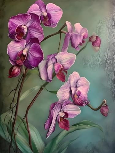 5D DIY Diamond Painting Orchidee Pink Diamond Painting Kinder Erwachsene Set, Diamond Painting Zubehör, Full Crystal Art Cross Stitch Embroidery Canvas Painting, Für Home Christmas Decor 50x60cm Y-266 5D DIY Diamond Painting Orchidee Pink Diamond Painting Kinder Erwachsene Set, Diamond Painting Zubehör, Full Crystal Art Cross Stitch Embroidery Canvas Painting, Für Home Christmas Decor 50x60cm Y-266 von Lchtooog
