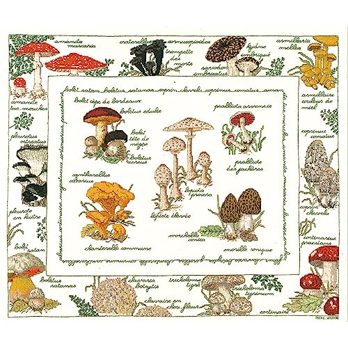 Le Bonheur des Dames Kreuzstich Set Le Bonheur des Dames Kreuzstich Set von Le Bonheur des Dames