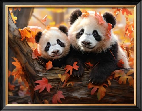 Leczany Kreuzstich-Set für Erwachsene oder Kinder – Zwei kleine Pandas | DIY Stickmuster Bastelset Nadelspitze für Anfänger | 11 CT, 3 Stränge | 42,9 x 33 cm Leczany Kreuzstich-Set für Erwachsene oder Kinder – Zwei kleine Pandas | DIY Stickmuster Bastelset Nadelspitze für Anfänger | 11 CT, 3 Stränge | 42,9 x 33 cm von Leczany