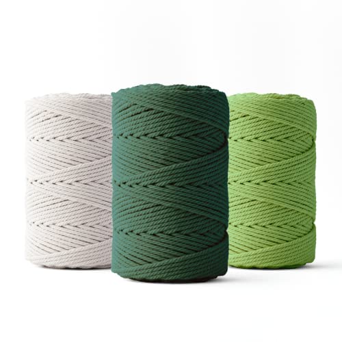 Ledent Makramee Garn (2mm, 3 x 70M, Set mit 3 Farben: hellgrün, dunkelgrün & weiß) doppelt gedreht - Seil für Makramee aus 100% recyceltes Baumwollgarn - Makramee Garn zum Basteln von Ledent