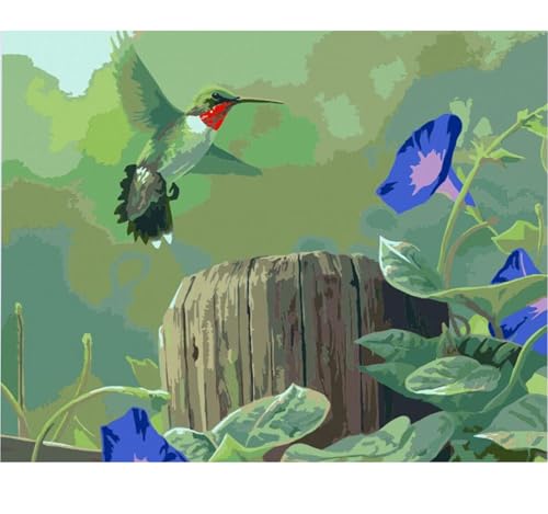 Ledgebay Malen nach Zahlen Erwachsene Anfänger bis Fortgeschrittene Zahlenset mit Acrylfarbe und Staffelei Malen nach Zahlen Erwachsene (Kolibri 40x50cm Ungerahmt) von Ledgebay
