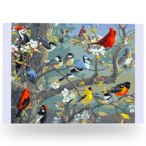Ledgebay Malen nach Zahlen Erwachsene Anfänger bis Fortgeschrittene Zahlenset mit Acrylfarbe und Staffelei Malen nach Zahlen Erwachsene (Obstgarten Puzzle 40x50cm Ungerahmt) von Ledgebay