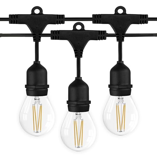 Ledvion - LED Lichterkette, 10M, Inklusive 10x Silber E27 LED, 1W, 2100K, Inklusive 10 Gold Filament LED-Lampen, IP65 von Ledvion