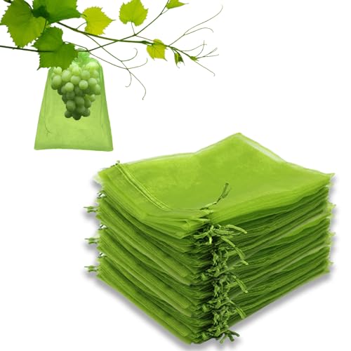 Leeyunbee 100 Stück Traubenschutzbeutel 20 x 30 cm, Obst Schutzbeutel, Weintrauben Schutzbeutel mit Zugband, Organzabeutel Garten Netzbeutel zum Schutz vor Vögel Wespen Fruchtfliegen Insekten (Grün) Leeyunbee 100 Stück Traubenschutzbeutel 20 x 30 cm, Obst Schutzbeutel, Weintrauben Schutzbeutel mit Zugband, Organzabeutel Garten Netzbeutel zum Schutz vor Vögel Wespen Fruchtfliegen Insekten (Grün) von Leeyunbee
