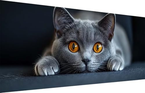 5D Diamond Painting Set für Erwachsene Große (80x220cm),Blaue Katze,Landschaft Diamant Painting Bilder Kinder,DIY Kristall Strass Cross Stickerei Malerei Bastelset für Büro,Wanddeko,Geschenke 55F-3418 von LeiDong