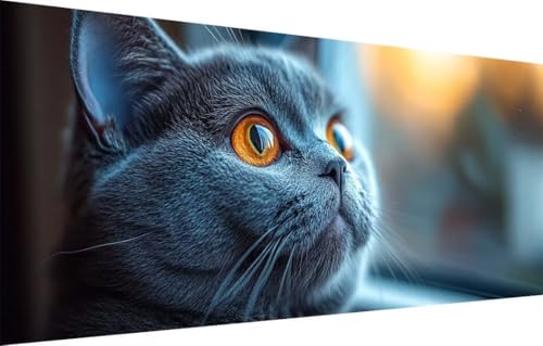 Diamant Painting Bilder für Erwachsene,5D DIY Diamond Painting Kinder,Blaue Katze,Tier Full Drill Cross Stickerei Malerei Kits Malen Nach Zahlen für Wohnzimmer,Zuhause Dekor (100x250cm) 55F-3405 von LeiDong