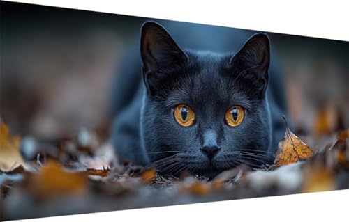 Diamond Painting Erwachsene,5D Schwarze Katze,Tier Diamant Painting Bilder für Kinder,DIY Diamant Kristall Strass Mosaik Kreuzstich Bastelset für Schlafzimmer Zuhause Dekor (100x250cm) 55F-2415 von LeiDong