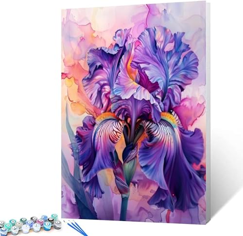 Leisouu Lila Iris-Blume, Malen Nach Zahlen Für Erwachsene, Anfänger, Buntes Blumengemälde Nach Zahlen, Schlafzimmer, Aquarell-Stil, Flur, Wohnzimmer, Zuhause, Wanddekoration, Geschenk(40x50cm) von Leisouu