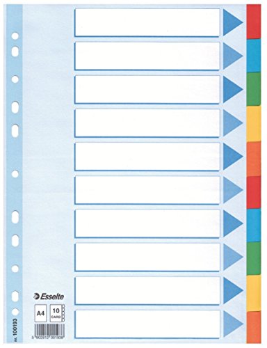 5er Vorteilspack Leitz Kartonregister Standard Blanko, A4, Karton, 10 Blatt, weiss von Leitz