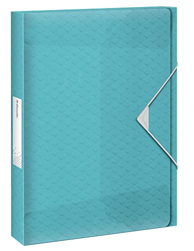 Esselte A4-Ablagebox, fasst 200 Blatt, 25 mm Rückenbreite, transparente Dokumentenaufbewahrungs-Organisationsmappe zur Schreibtischorganisation, Colour'Breeze Serie, Blau, 626259 von Esselte