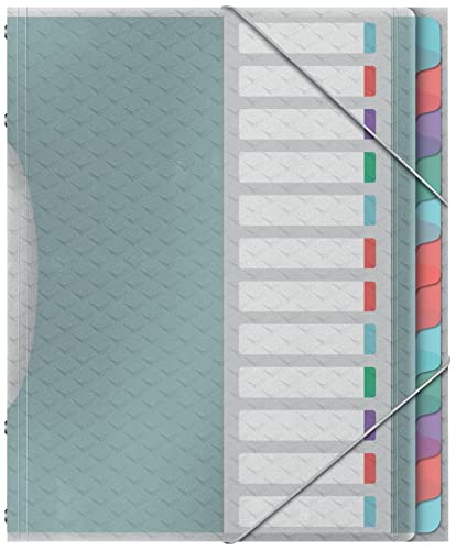 Esselte A4-Projektordner mit 12 Registern, klaren Kunststofftaschen, zur Schreibtischorganisation, mit Prägemuster, Colour'Breeze Serie, Mehrfarbig, 626256 von Esselte