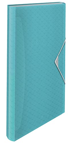 Esselte A4-Fächermappe, transparente Mappe mit 5 Registern/6 Fächern, zur Schreibtischorganisation mit Prägemuster, Colour'Breeze Serie, Blau, 626252 Esselte A4-Fächermappe, transparente Mappe mit 5 Registern/6 Fächern, zur Schreibtischorganisation mit Prägemuster, Colour'Breeze Serie, Blau, 626252 von Esselte