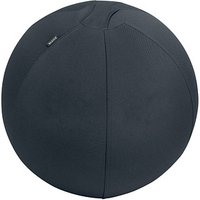 LEITZ Ergo Active Sitzball dunkelgrau 55,0 cm LEITZ Ergo Active Sitzball dunkelgrau 55,0 cm von Leitz