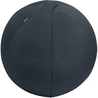 LEITZ Ergo Active Sitzball dunkelgrau 75,0 cm von Leitz