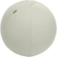 LEITZ Ergo Active Sitzball hellgrau 55,0 cm von Leitz