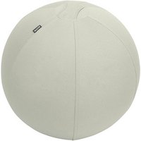 LEITZ Ergo Active Sitzball hellgrau 65,0 cm LEITZ Ergo Active Sitzball hellgrau 65,0 cm von Leitz