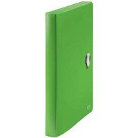 LEITZ Heftbox Recycle 4,0 cm grün von Leitz