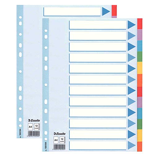 Leitz 100194 Kartonregister Standard Blanko, A4, 12 Blatt mit farbigen Taben, weiss (2er Pack, 12-teilig) von Leitz