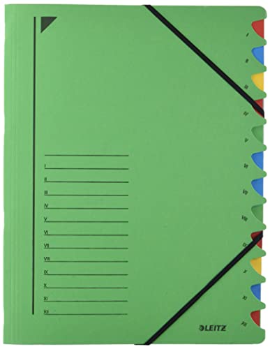 Leitz 39120055 Ordnungsmappe, 12 Fächer, Colorspankarton, grün von Leitz