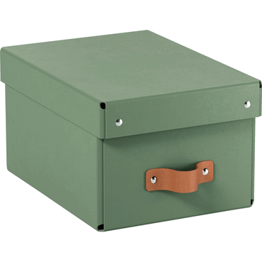 Leitz Archivbox Puro Klein mit Deckel grün 2 Stück von Leitz