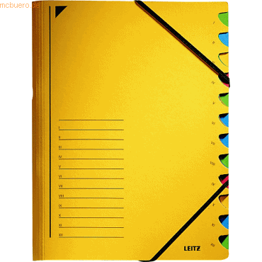 Leitz Ordnungsmappe A4 12 Fächer Colorspankarton gelb von Leitz