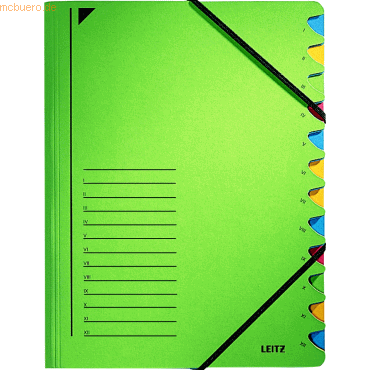 Leitz Ordnungsmappe A4 12 Fächer Colorspankarton grün von Leitz