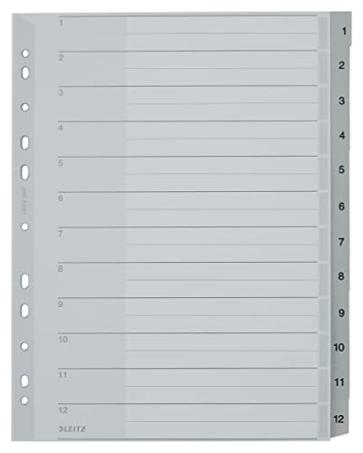 Leitz Plastikregister (1-12, A4, PP, 12 Blatt) grau von Leitz