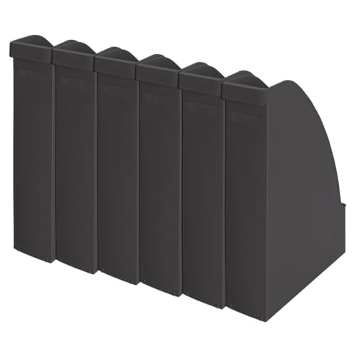 Leitz Stehsammler A4, 6er Pack, Blauer Engel, Recycle-Sortiment, Schwarz, 24765095 von Leitz