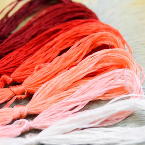 Leliafleury Stickgarne für Kreuzstich, Polyester, Nähgarn für DIY-Strick- und Stickprojekte, Rot und Orange, 8 Stück von Leliafleury