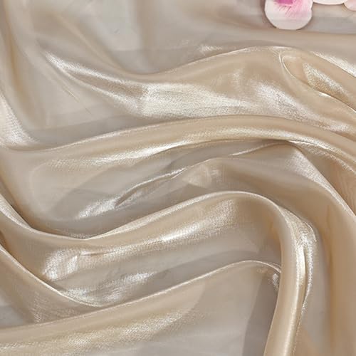 Organza-Stoff, 1,5 m x 1 m, Champagner-Kristall, glänzender Organza-Spitzenstoff, Polyester-Gaze-Material, Tuch für Bastelarbeiten, Nähen, Dekorationen von Leliafleury