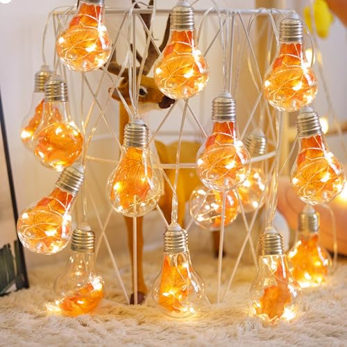 LED Lichterkette Außen Innen, 2M Glühbirnen Party Lichterkette Batterie Außen, Outdoor IP44 Wetterfest 10 LED Kugeln Partybeleuchtung, Herbst Garten Beleuchtung Balkon Lichterketten Aussen (A) von Lergas
