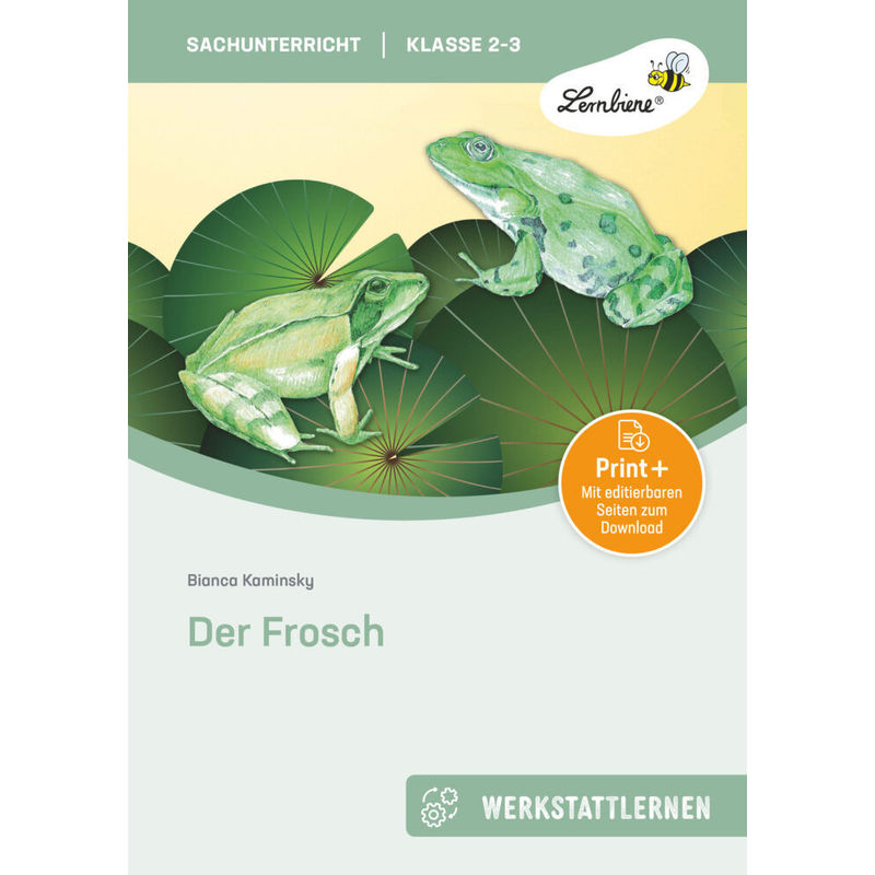 Der Frosch, M. 1 Beilage - Bianca Kaminsky, Gebunden von Lernbiene Verlag