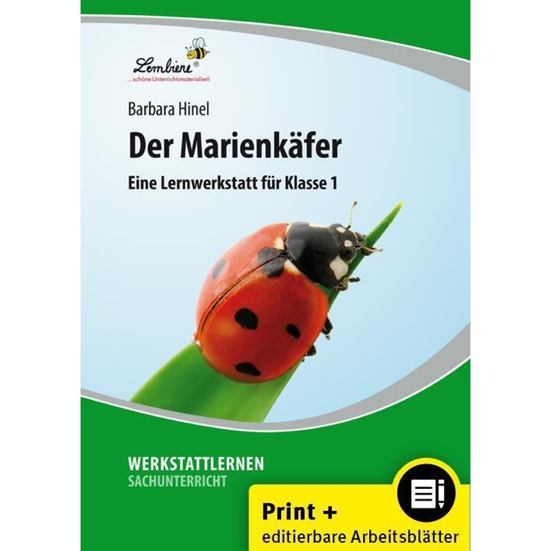 Der Marienkäfer, M. 1 Cd-Rom - Barbara Hinel, Gebunden von Lernbiene Verlag